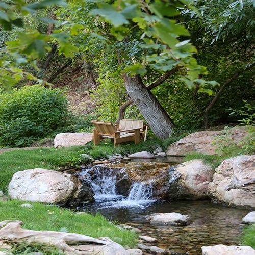 Backyard design